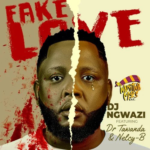 Fake Love - DJ Ngwazi FeatDr Tawanda Nelcy B@Bolomp3.com