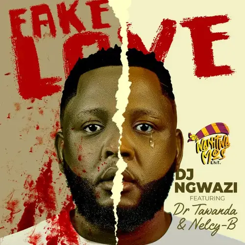 Fake Love – DJ Ngwazi FeatDr Tawanda Nelcy B@Bolomp3.com