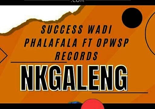 Nkgaleng - Success wadi phalafala ft Opwsp Records@Bolomp3.com