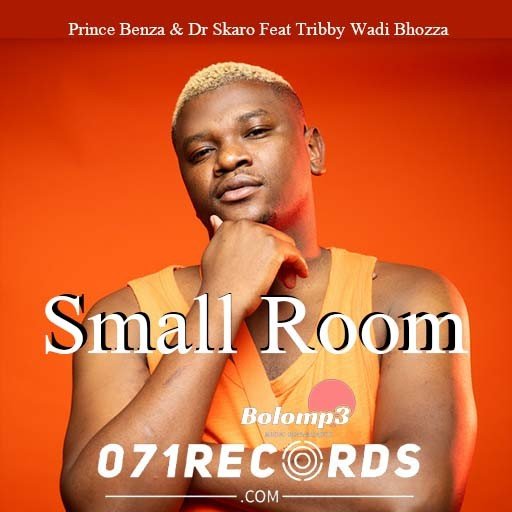 Small Room - Prince Benza & Dr Skaro Feat Tribby Wadi Bhozza@Bolomp3.com